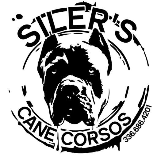 Siler's Cane Corso - Logo.