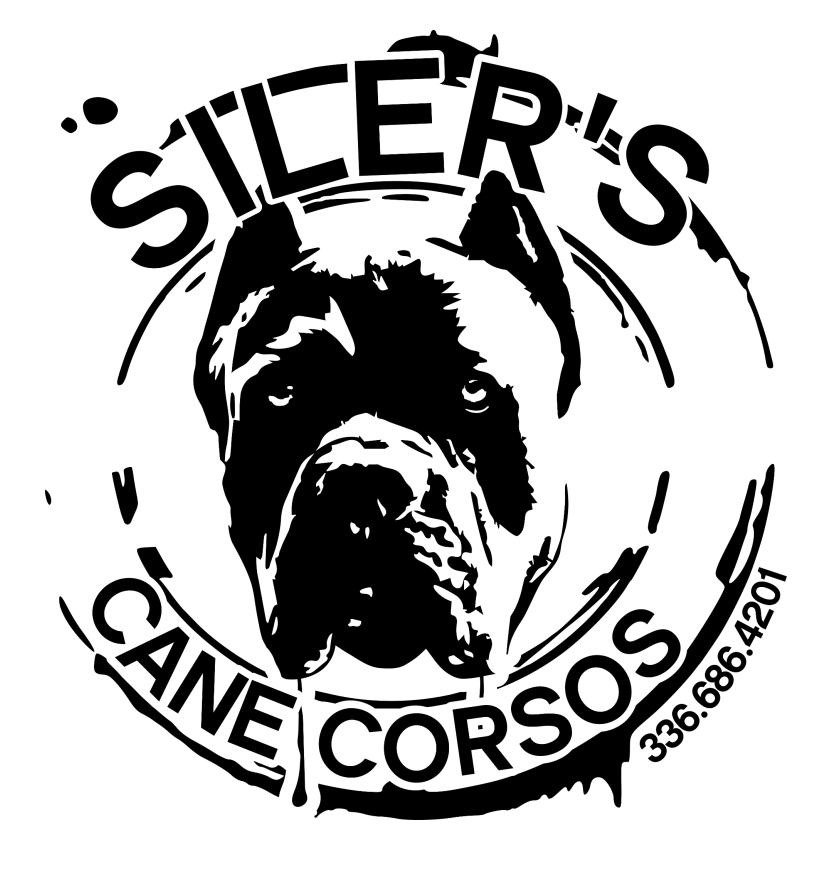 Siler's Cane Corso - Logo.